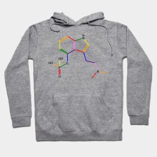 Psilocybin Rainbow Molecule Chemistry Hoodie